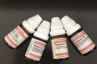 Homöopathie für die Paarbeziehung