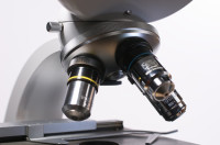 Dunkelfelddiagnostik - Möglichkeiten und Grenzen unter Einbeziehung klinischer Labordiagnostik und der Immunologie