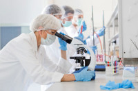 Ganzheitliche Labordiagnostik Ganzheitliche Labordiagnostik