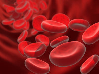Erkrankungen als Folge eines gestörten Lymphsystems Erkrankungen als Folge eines gestörten Lymphsystems