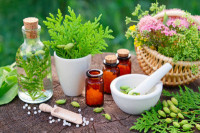 Pilze in der Homöopathie – Magie und Therapie Pilze in der Homöopathie – Magie und Therapie